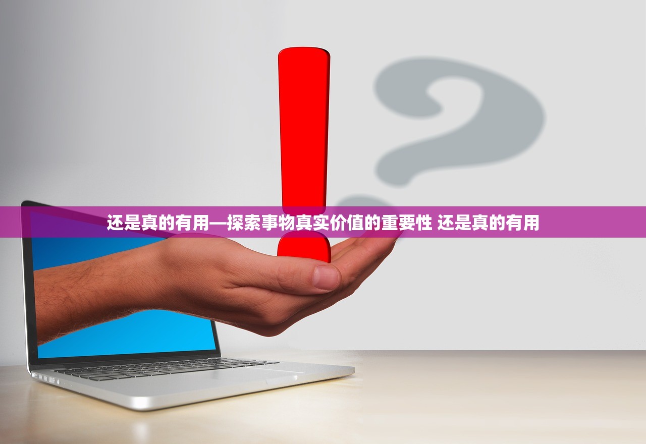 还是真的有用—探索事物真实价值的重要性 还是真的有用