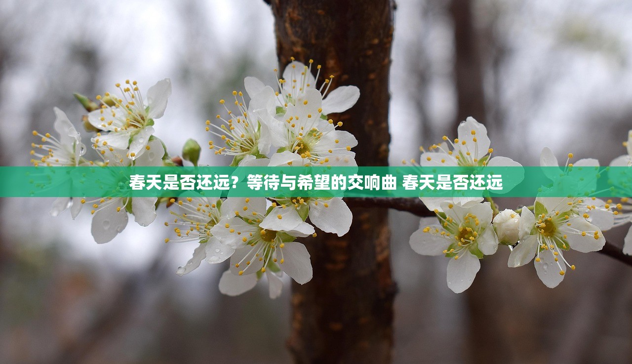 春天是否还远？等待与希望的交响曲 春天是否还远