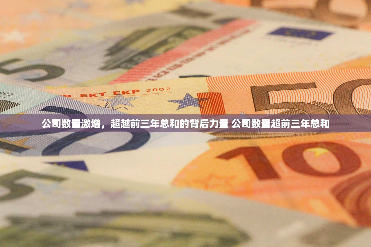 公司数量激增，超越前三年总和的背后力量 公司数量超前三年总和