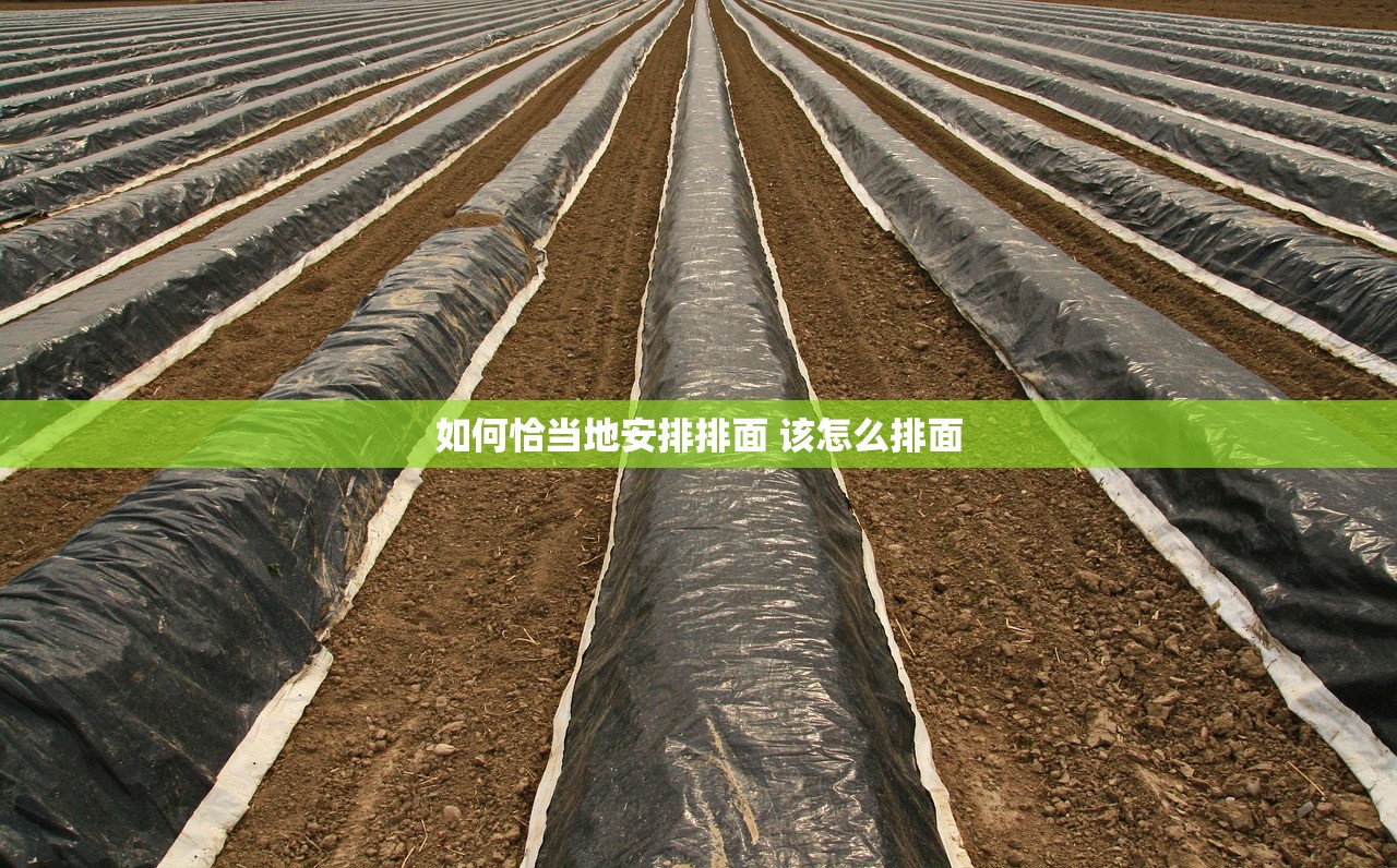 如何恰当地安排排面 该怎么排面 如何恰当地安排排面 该怎么排面