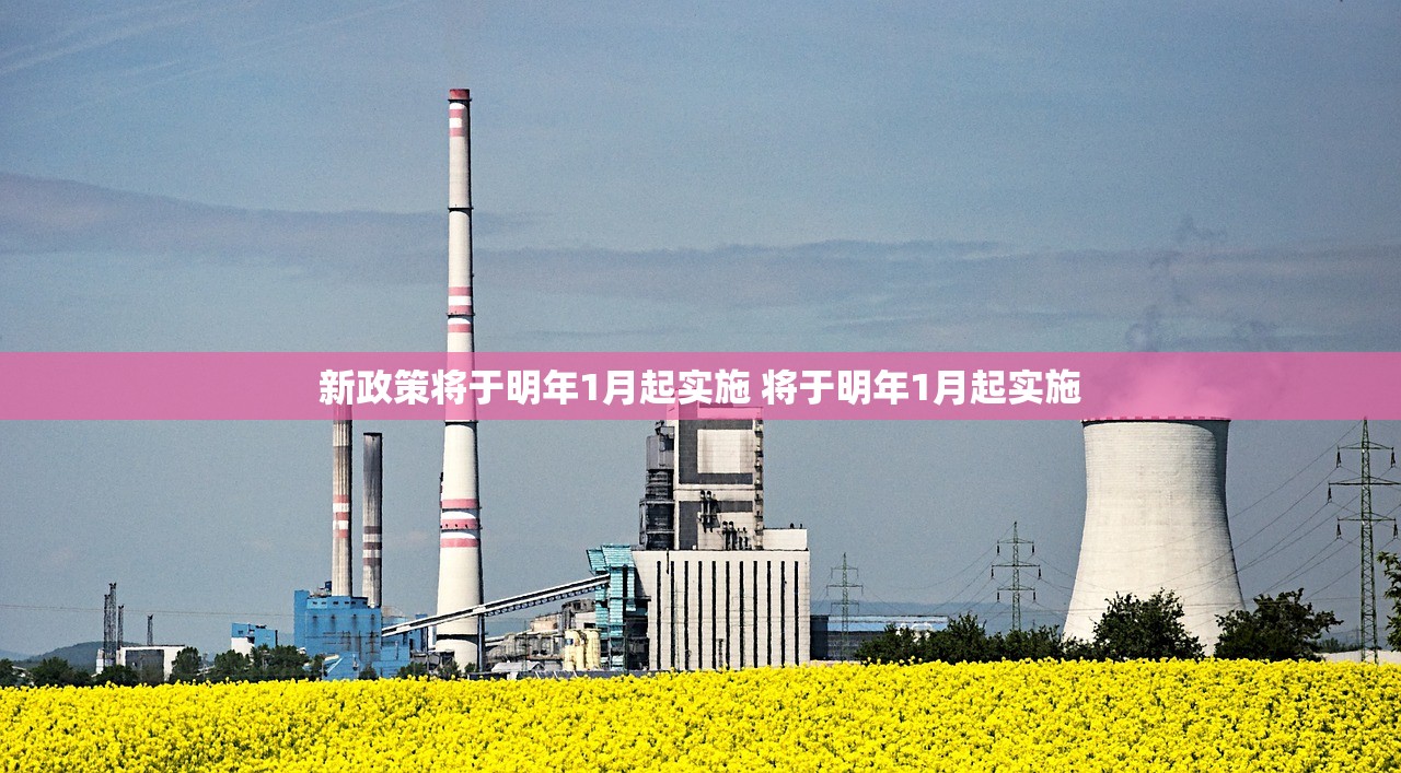 新政策将于明年1月起实施 将于明年1月起实施