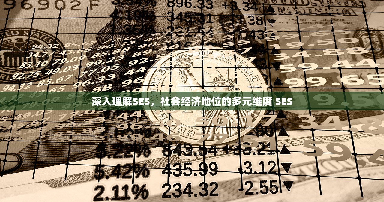 深入理解SES，社会经济地位的多元维度 SES