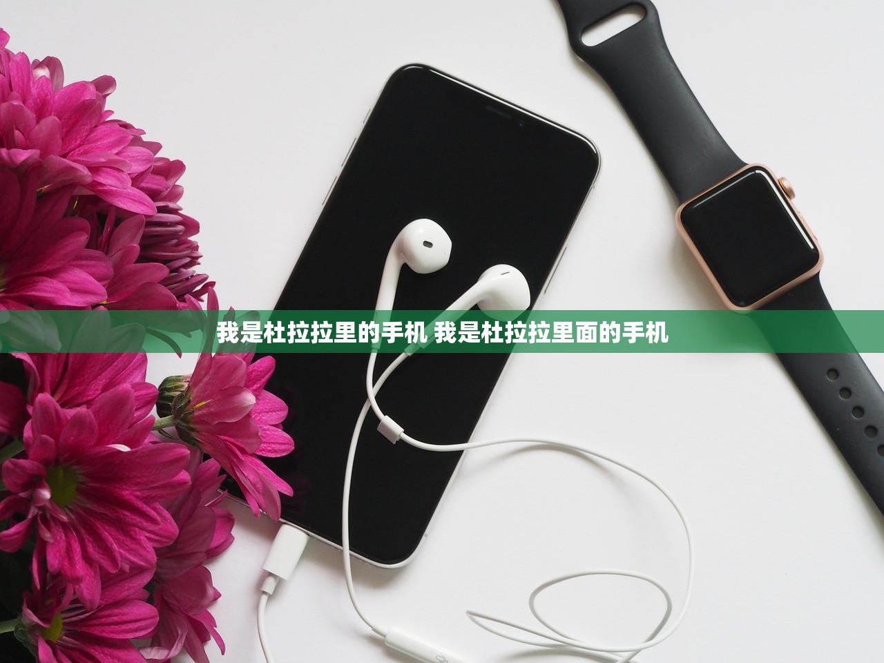 我是杜拉拉里的手机 我是杜拉拉里面的手机
