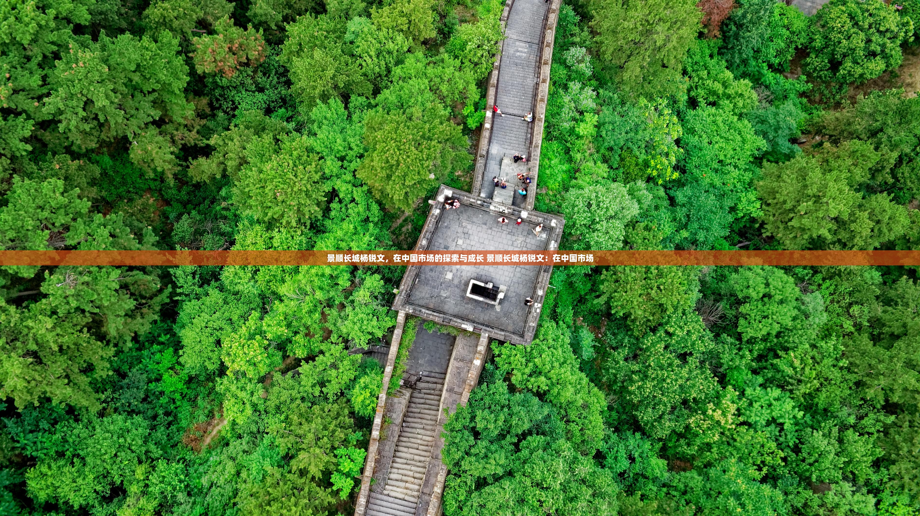 景顺长城杨锐文，在中国市场的探索与成长 景顺长城杨锐文：在中国市场