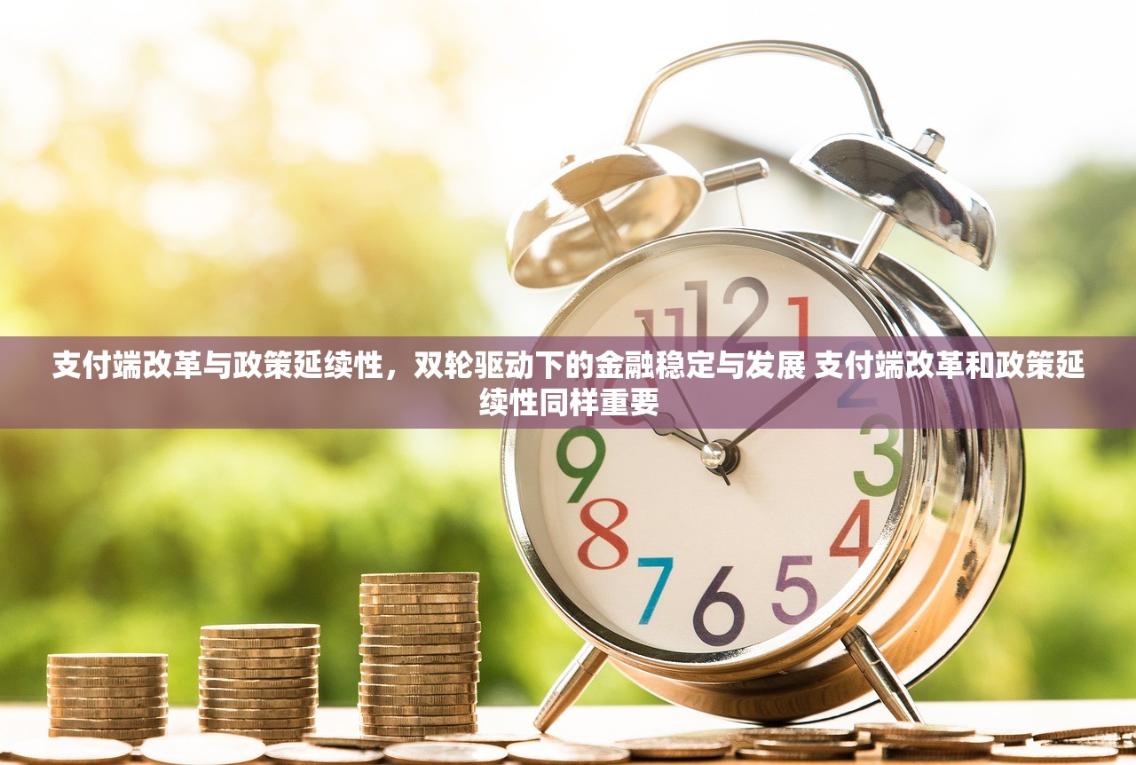 支付端改革与政策延续性，双轮驱动下的金融稳定与发展 支付端改革和政策延续性同样重要