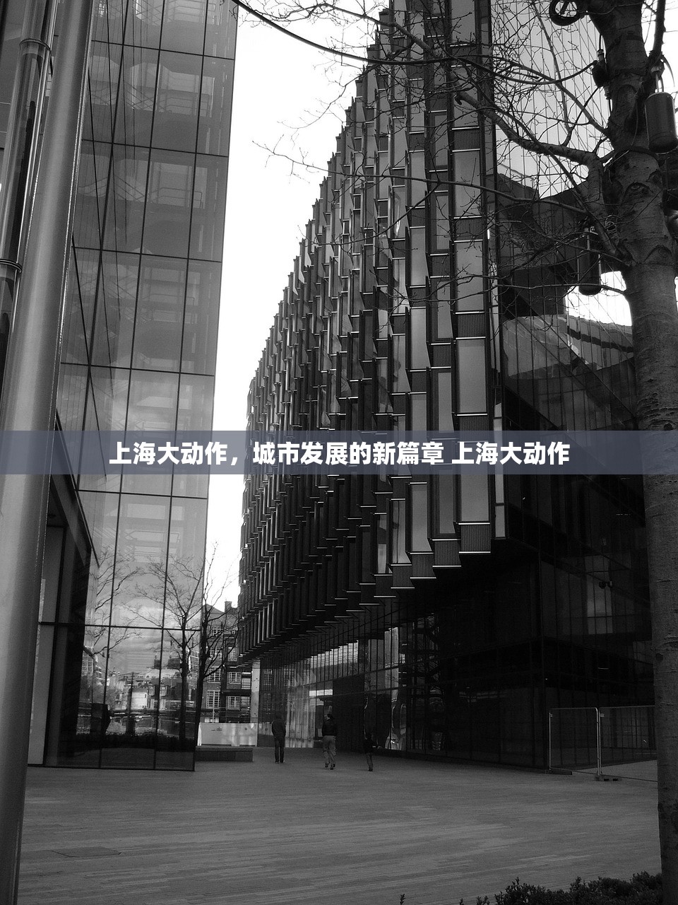 上海大动作，城市发展的新篇章 上海大动作