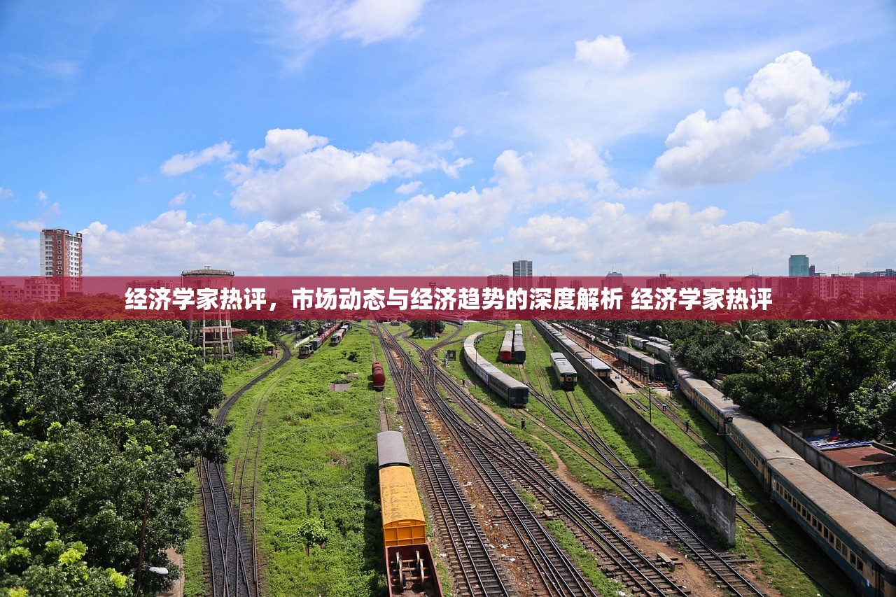 经济学家热评，市场动态与经济趋势的深度解析 经济学家热评