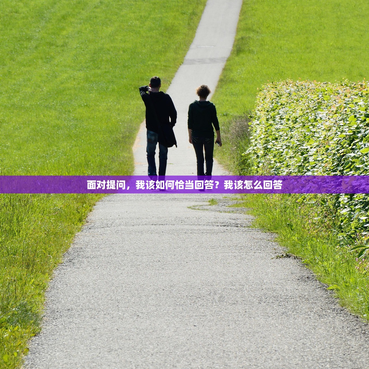 面对提问，我该如何恰当回答？我该怎么回答
