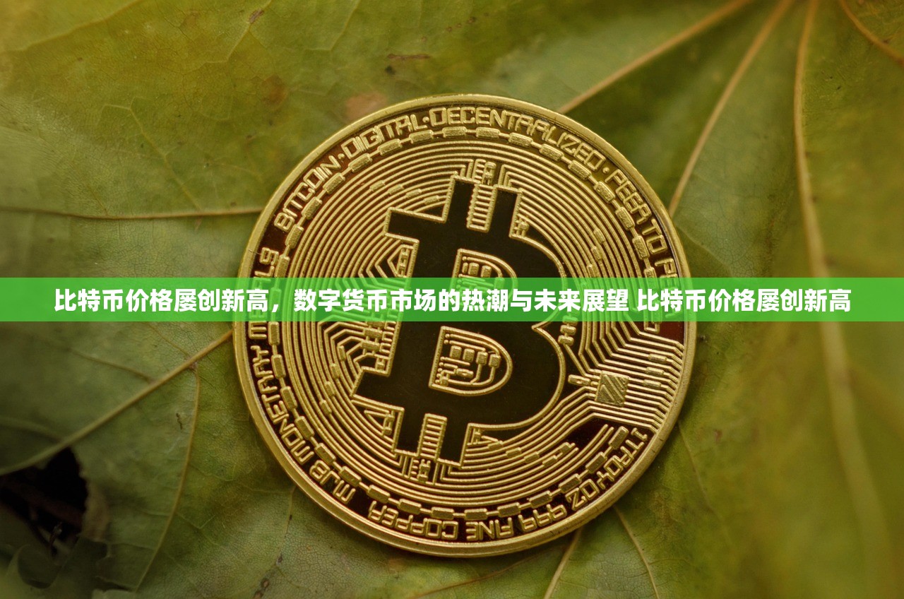 比特币价格屡创新高，数字货币市场的热潮与未来展望 比特币价格屡创新高