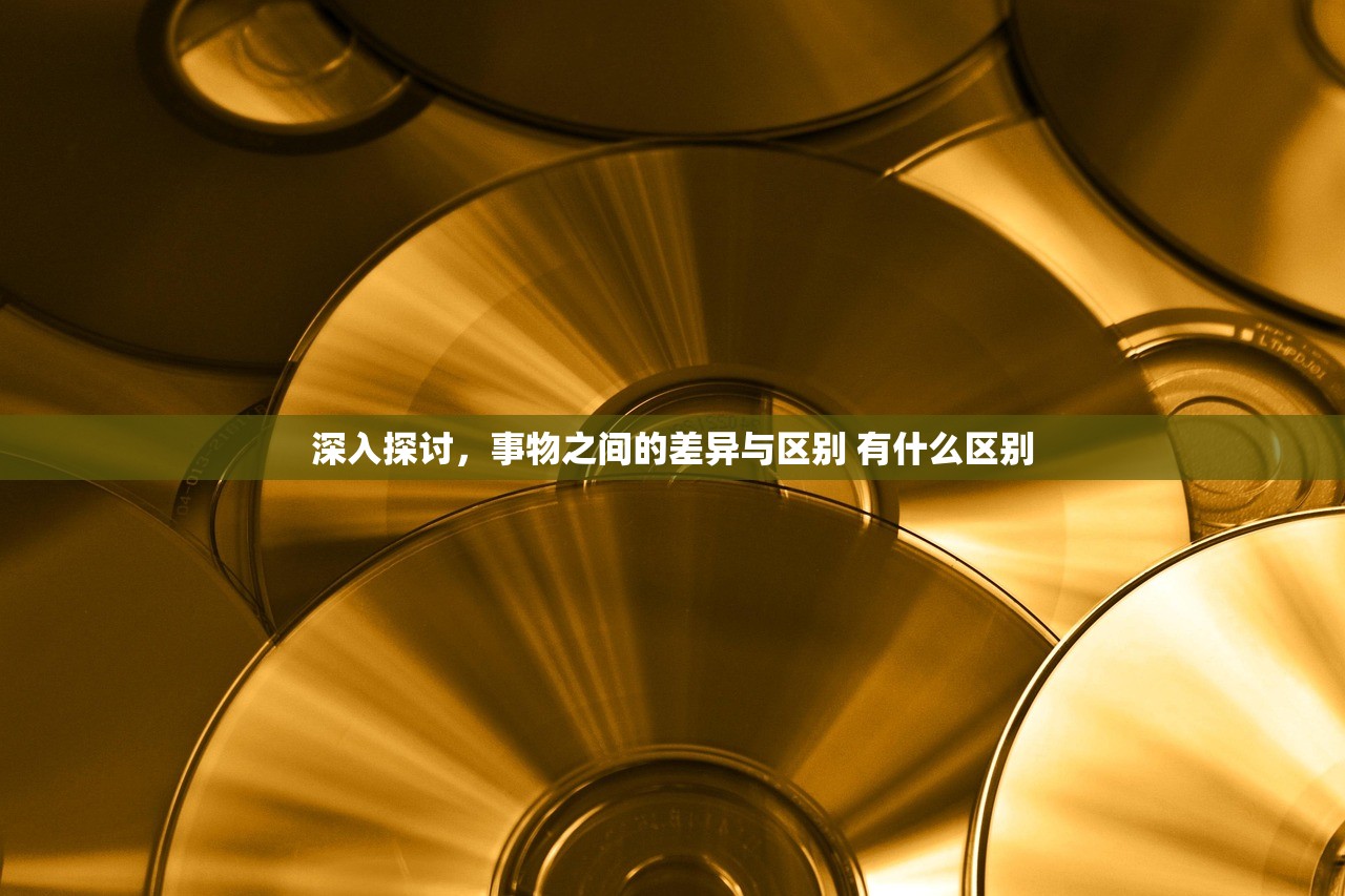 深入探讨，事物之间的差异与区别 有什么区别