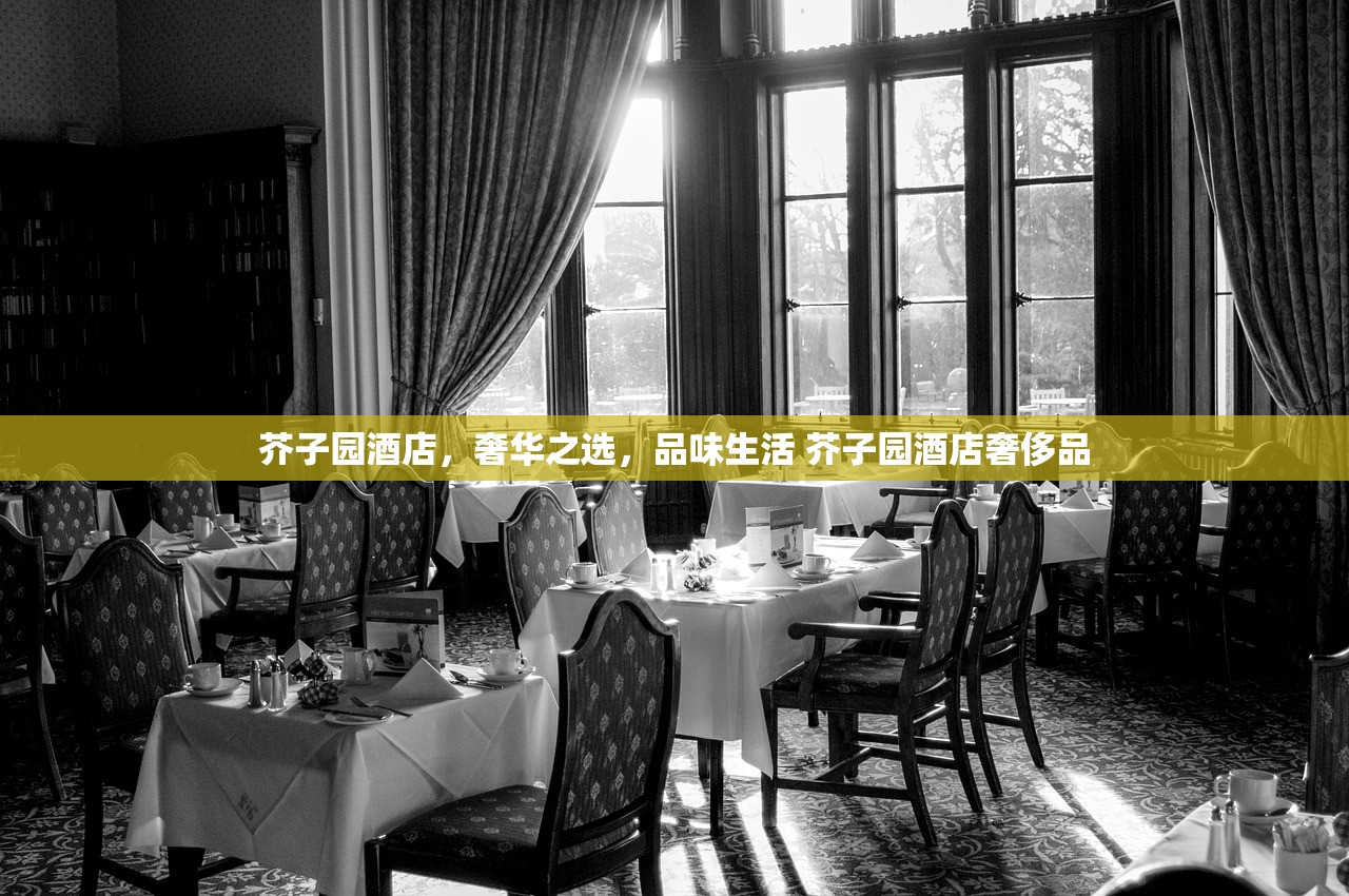 芥子园酒店,奢华之选,品味生活 芥子园酒店奢侈品 芥子园酒店,奢华之选,品味生活 芥子园酒店奢侈品