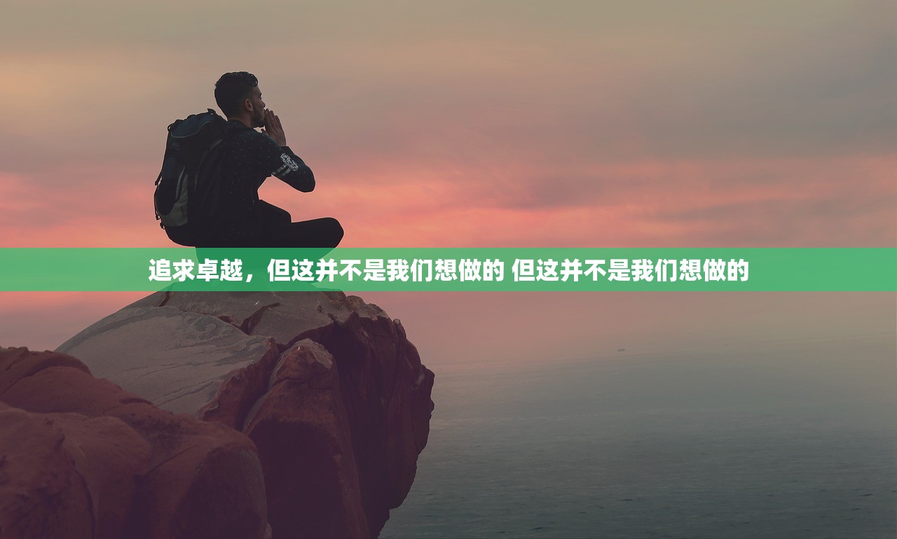 追求卓越，但这并不是我们想做的 但这并不是我们想做的