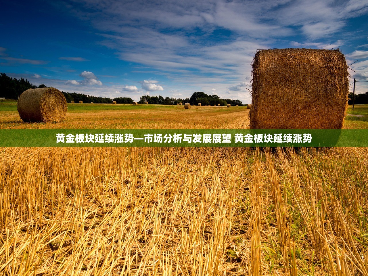 黄金板块延续涨势—市场分析与发展展望 黄金板块延续涨势