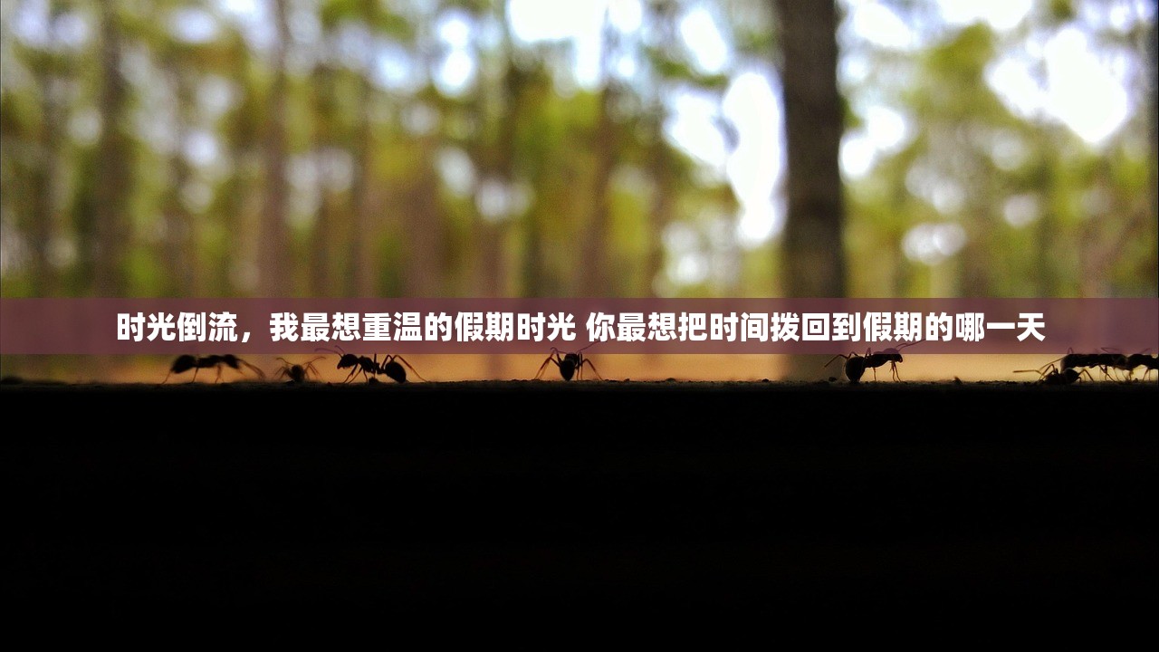 时光倒流，我最想重温的假期时光 你最想把时间拨回到假期的哪一天