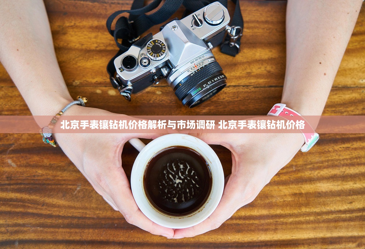 北京手表镶钻机价格解析与市场调研 北京手表镶钻机价格