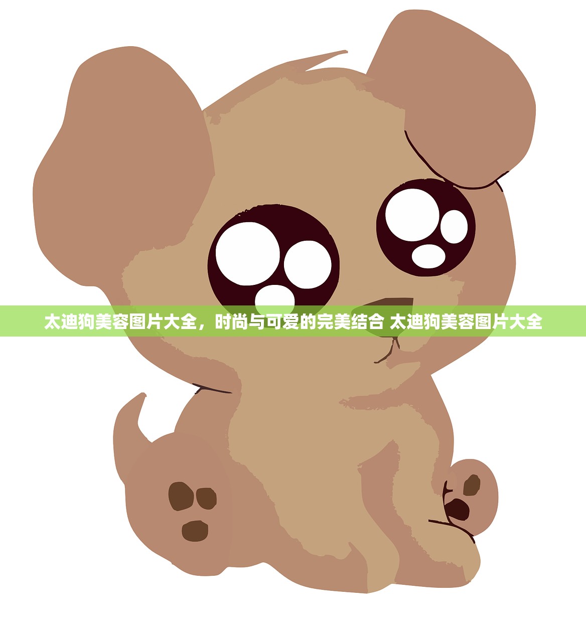 太迪狗美容图片大全，时尚与可爱的完美结合 太迪狗美容图片大全