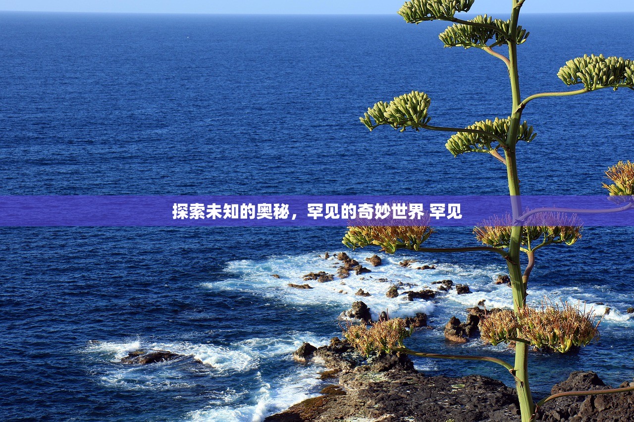 探索未知的奥秘，罕见的奇妙世界 罕见