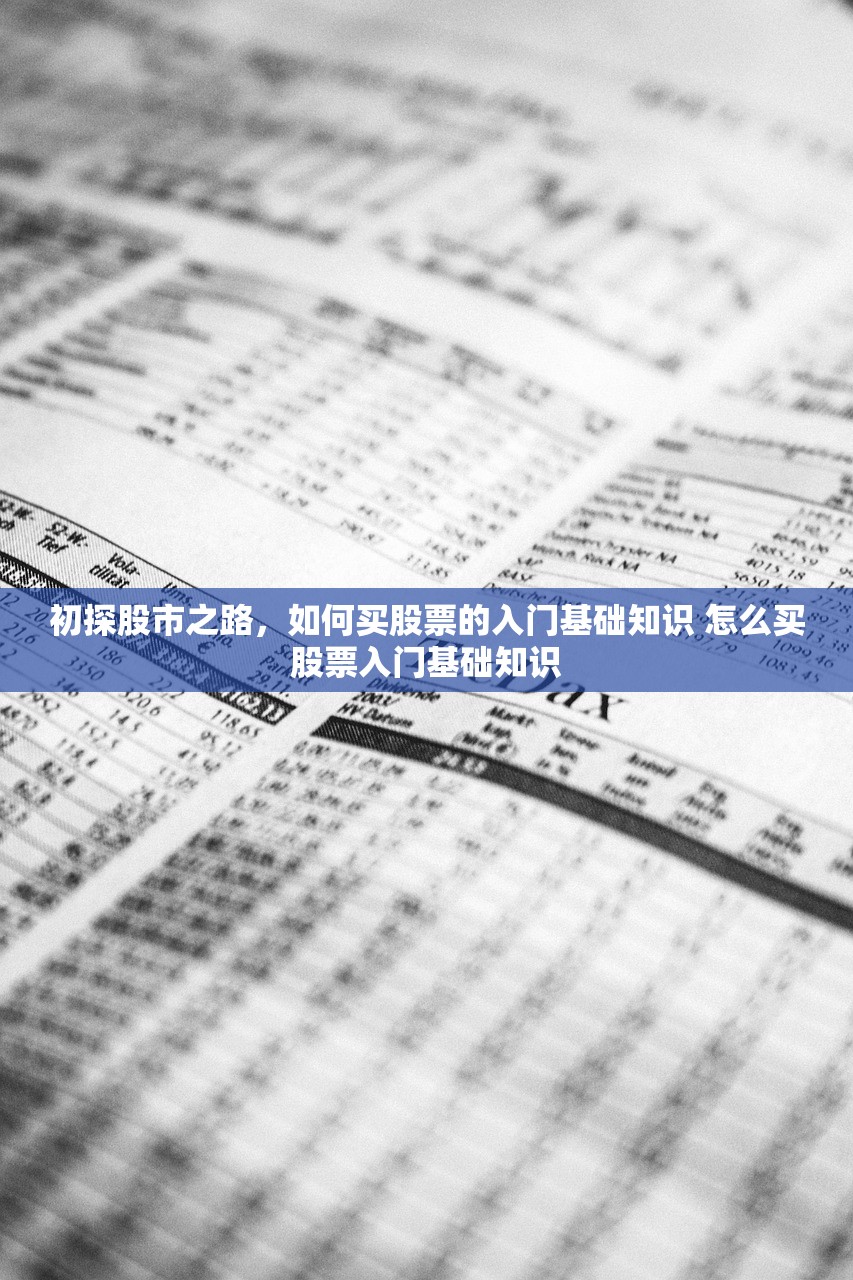 初探股市之路，如何买股票的入门基础知识 怎么买股票入门基础知识