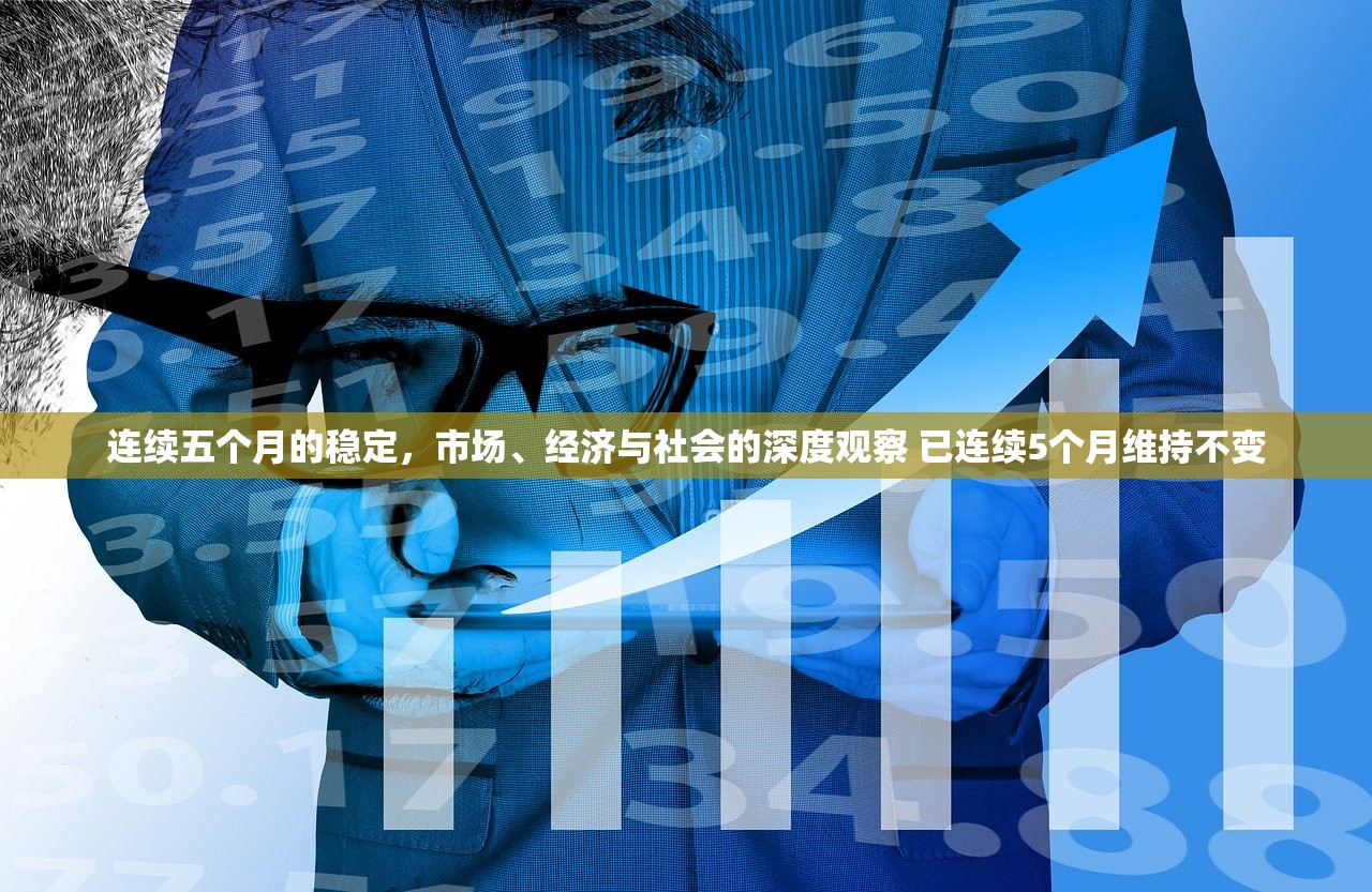 连续五个月的稳定，市场、经济与社会的深度观察 已连续5个月维持不变
