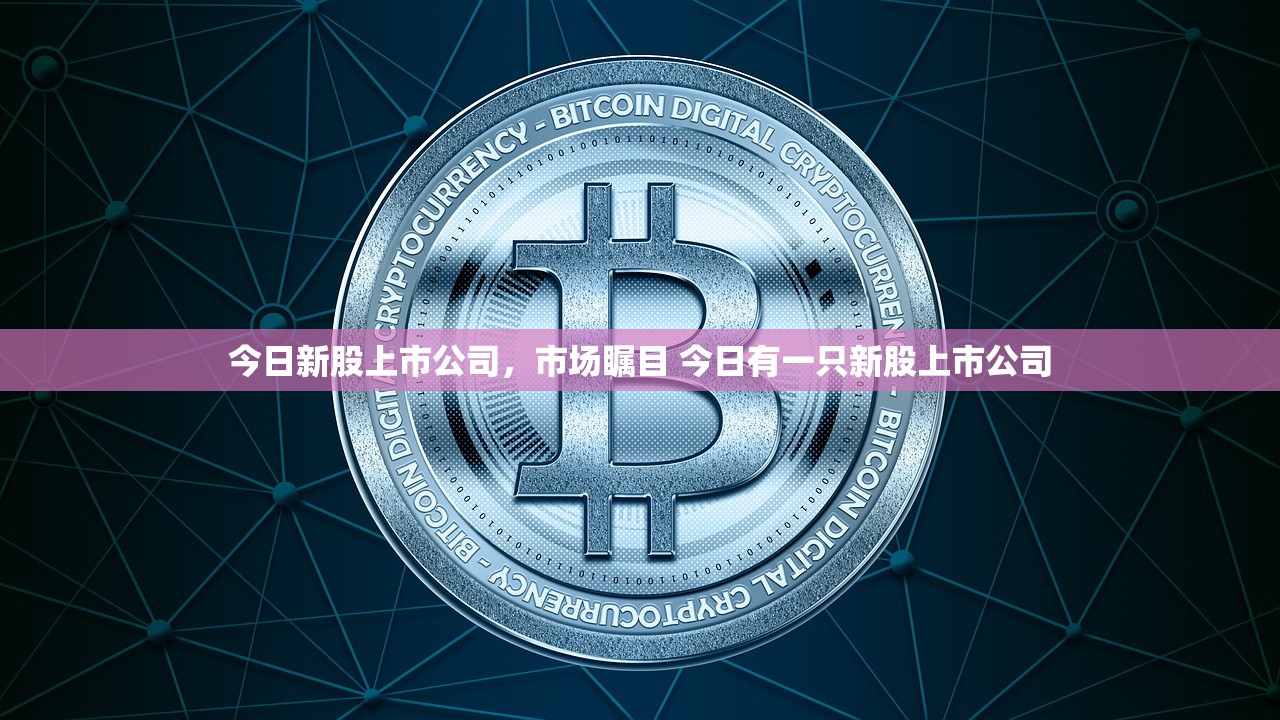 今日新股上市公司，市场瞩目 今日有一只新股上市公司