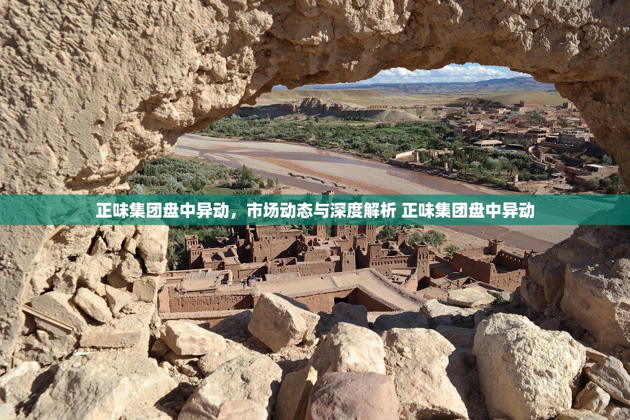 正味集团盘中异动，市场动态与深度解析 正味集团盘中异动