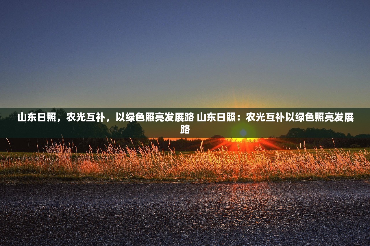 山东日照，农光互补，以绿色照亮发展路 山东日照：农光互补以绿色照亮发展路