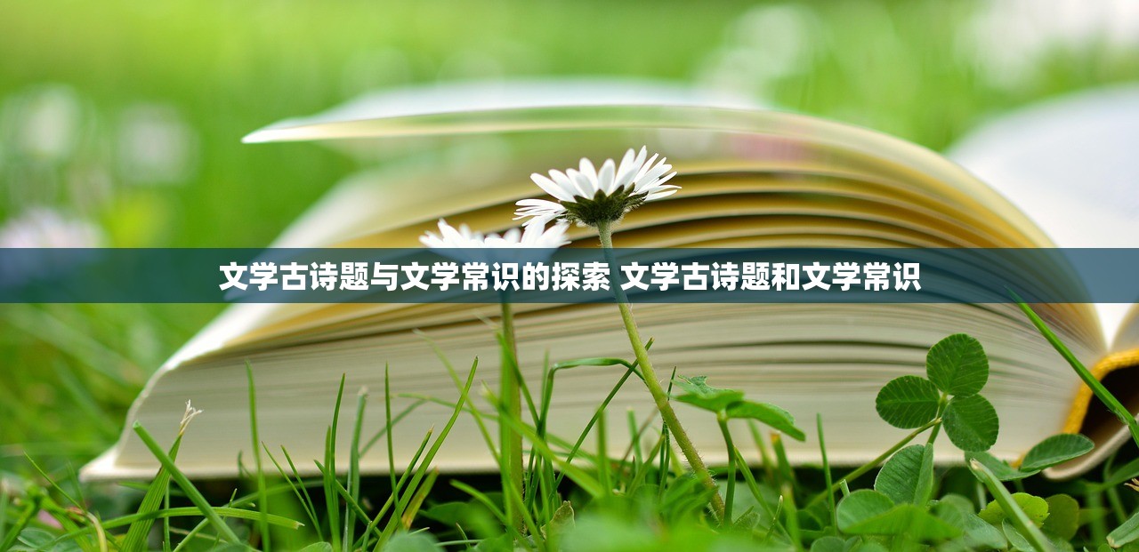 文学古诗题与文学常识的探索 文学古诗题和文学常识