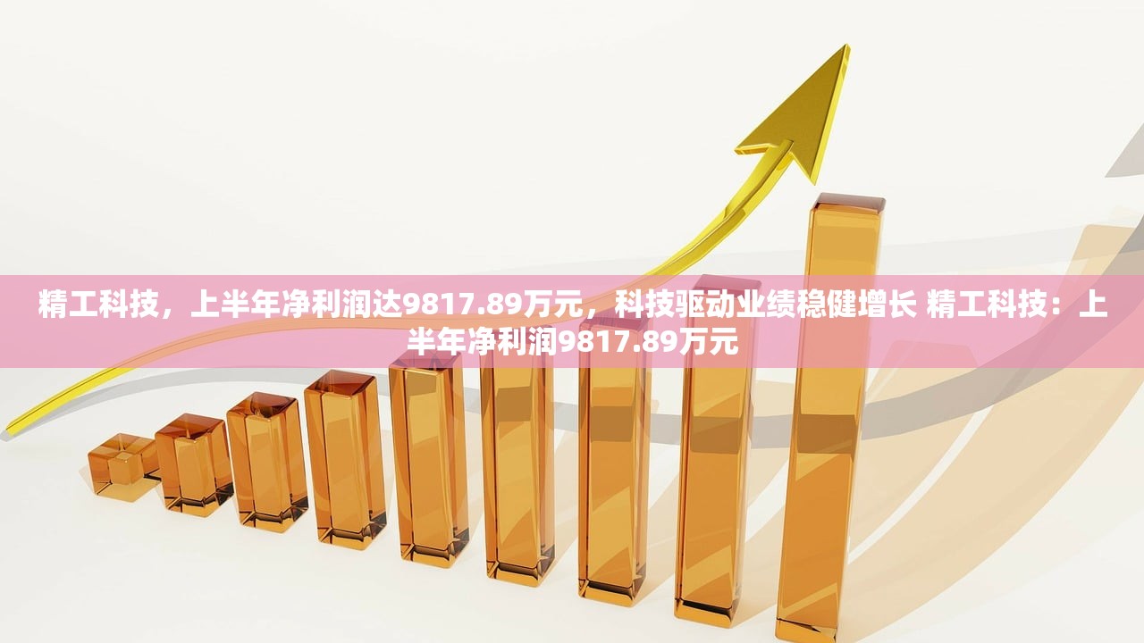 精工科技，上半年净利润达9817.89万元，科技驱动业绩稳健增长 精工科技：上半年净利润9817.89万元