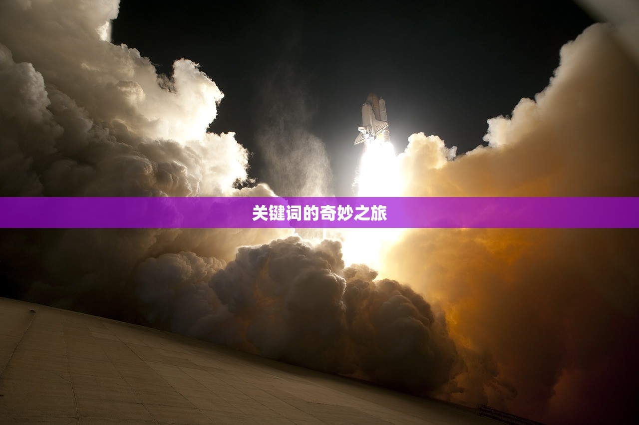关键词的奇妙之旅