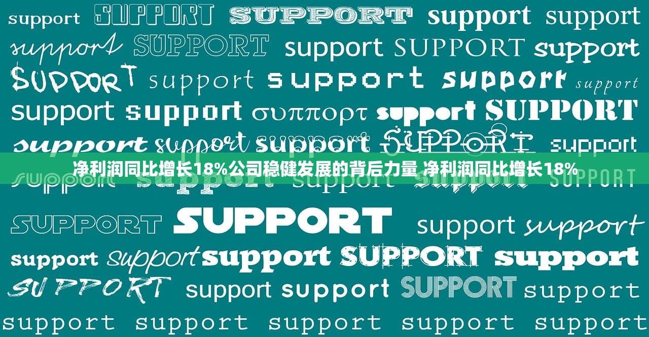 净利润同比增长18%公司稳健发展的背后力量 净利润同比增长18%