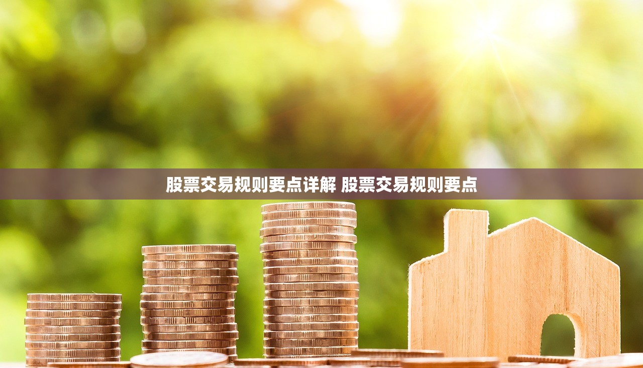 股票交易规则要点详解 股票交易规则要点 股票交易规则要点详解 股票交易规则要点