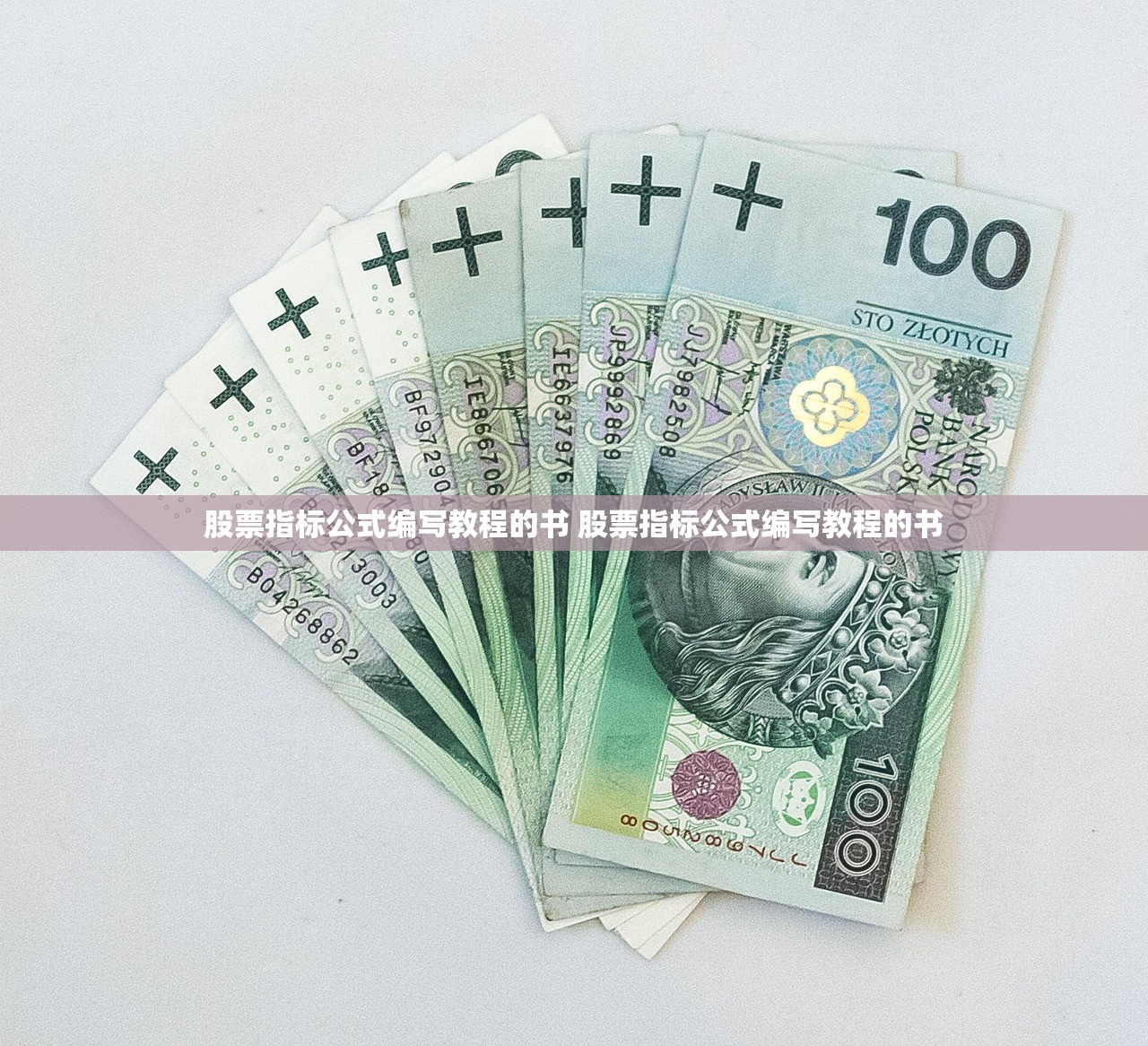 股票指标公式编写教程的书 股票指标公式编写教程的书