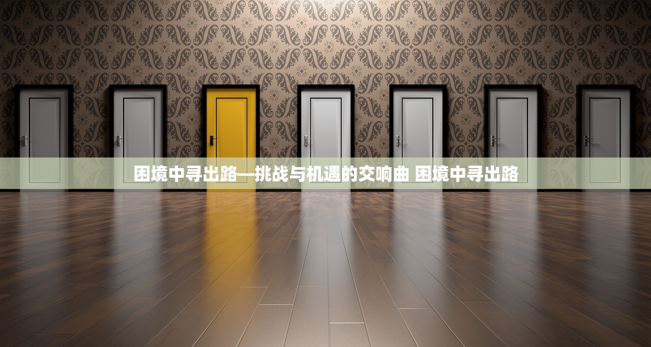 困境中寻出路—挑战与机遇的交响曲 困境中寻出路