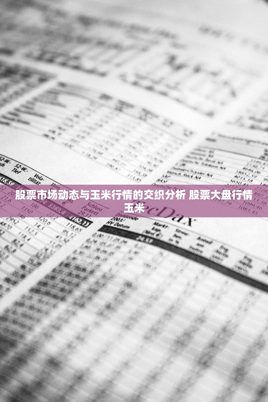 股票市场动态与玉米行情的交织分析 股票大盘行情玉米