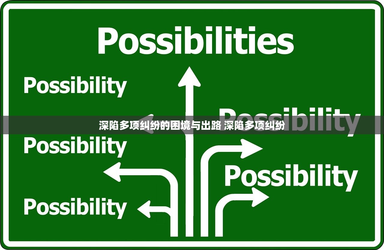 深陷多项纠纷的困境与出路 深陷多项纠纷