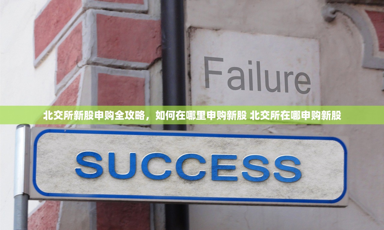 北交所新股申购全攻略,如何在哪里申购新股 北交所在哪申购新股 北交所新股申购全攻略,如何在哪里申购新股 北交所在哪申购新股