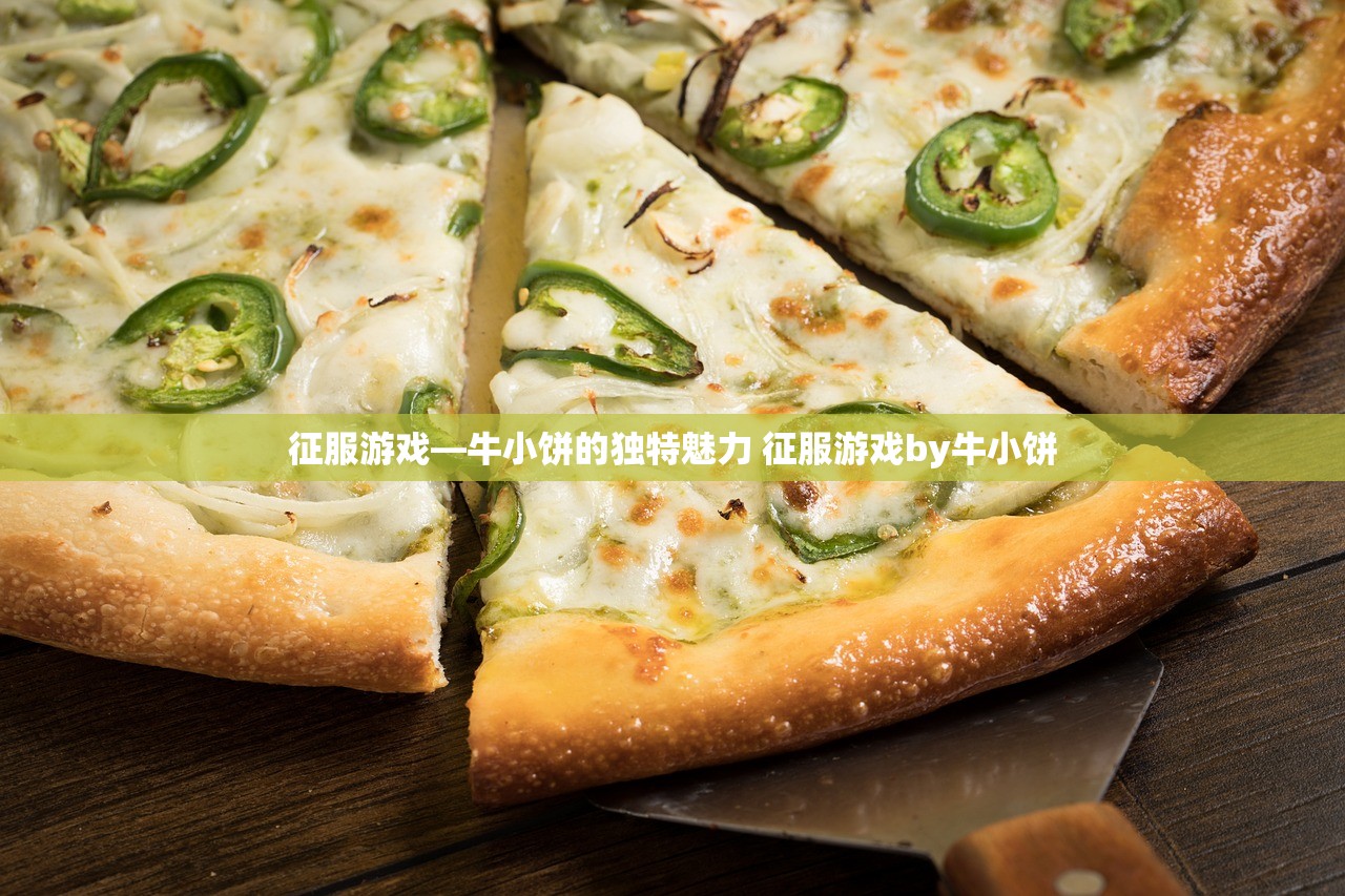 征服游戏—牛小饼的独特魅力 征服游戏by牛小饼