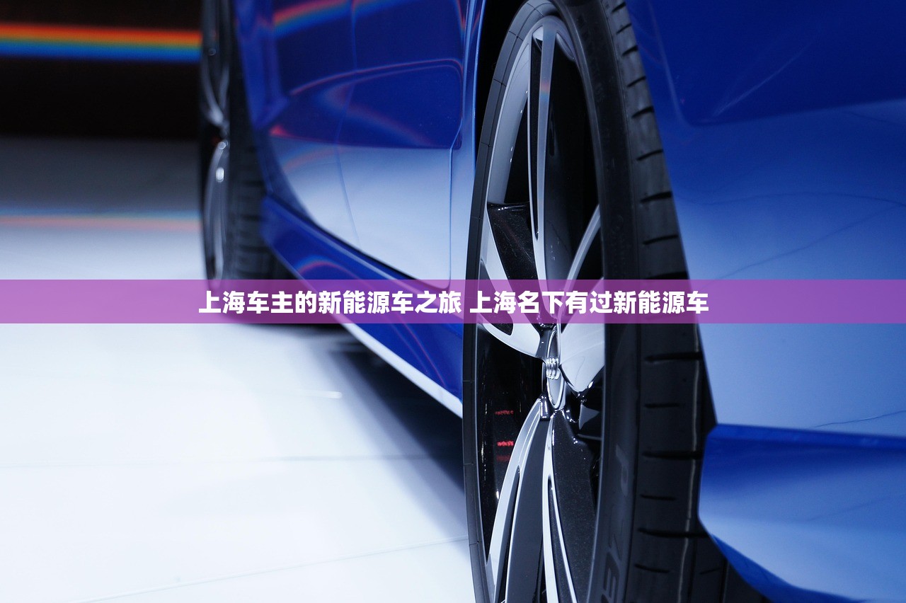 上海车主的新能源车之旅 上海名下有过新能源车