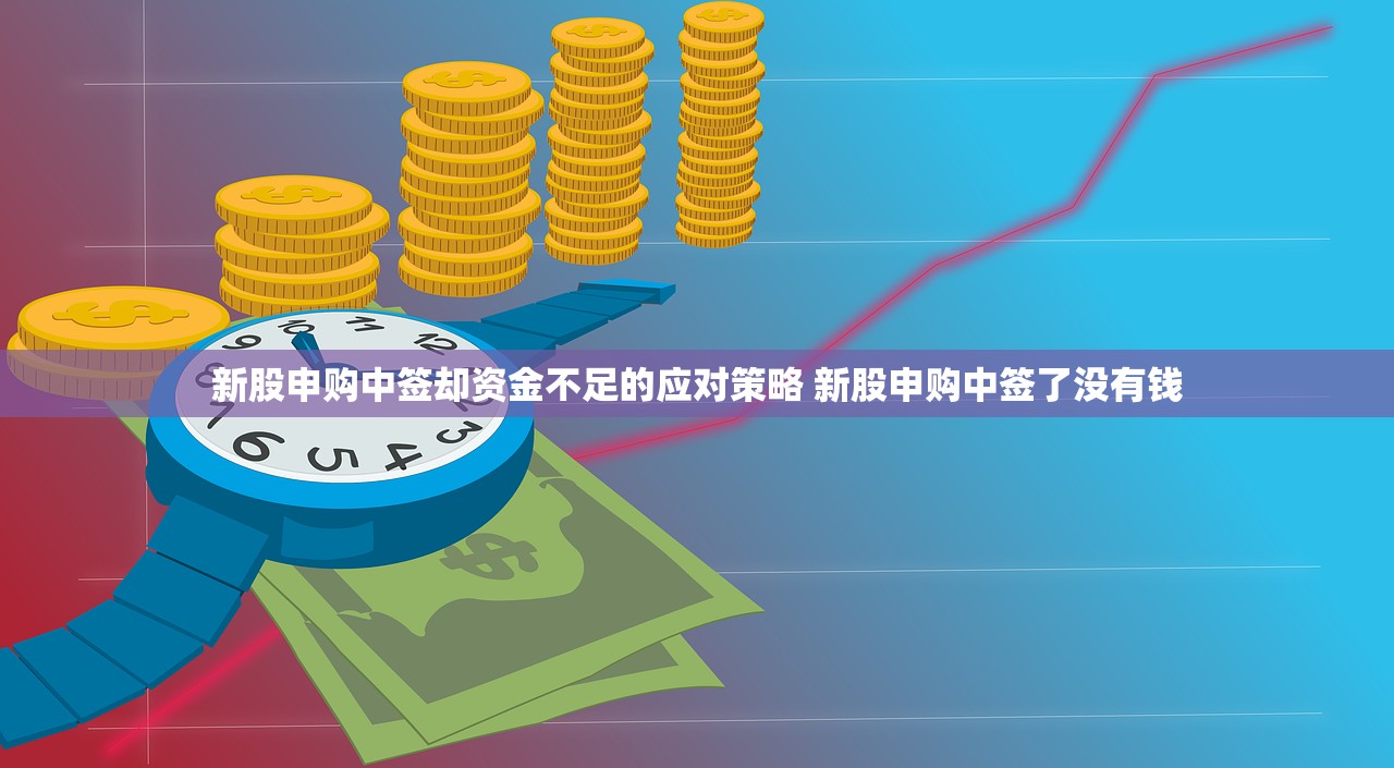 新股申购中签却资金不足的应对策略 新股申购中签了没有钱
