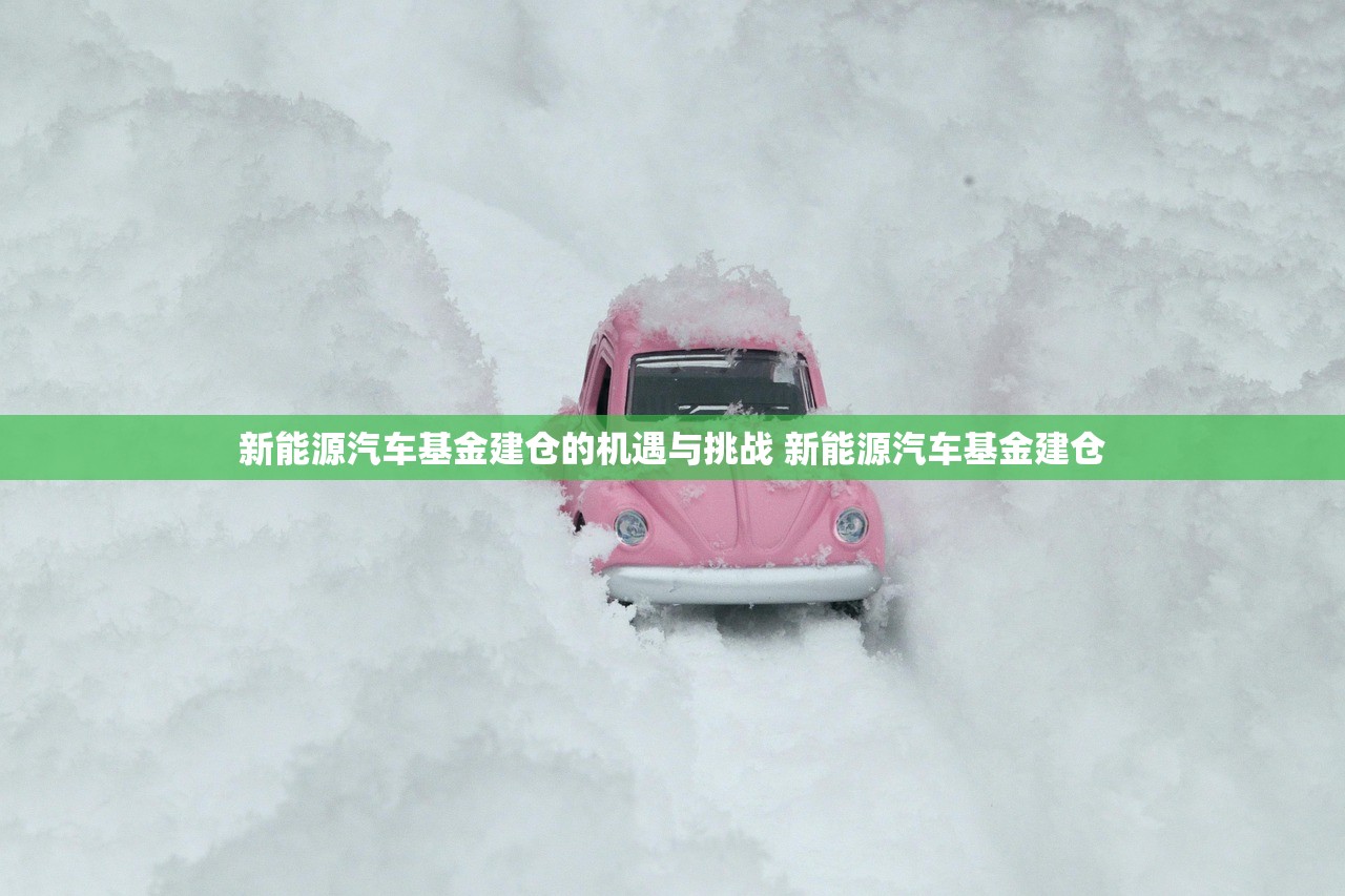 新能源汽车基金建仓的机遇与挑战 新能源汽车基金建仓 新能源汽车基金建仓的机遇与挑战 新能源汽车基金建仓