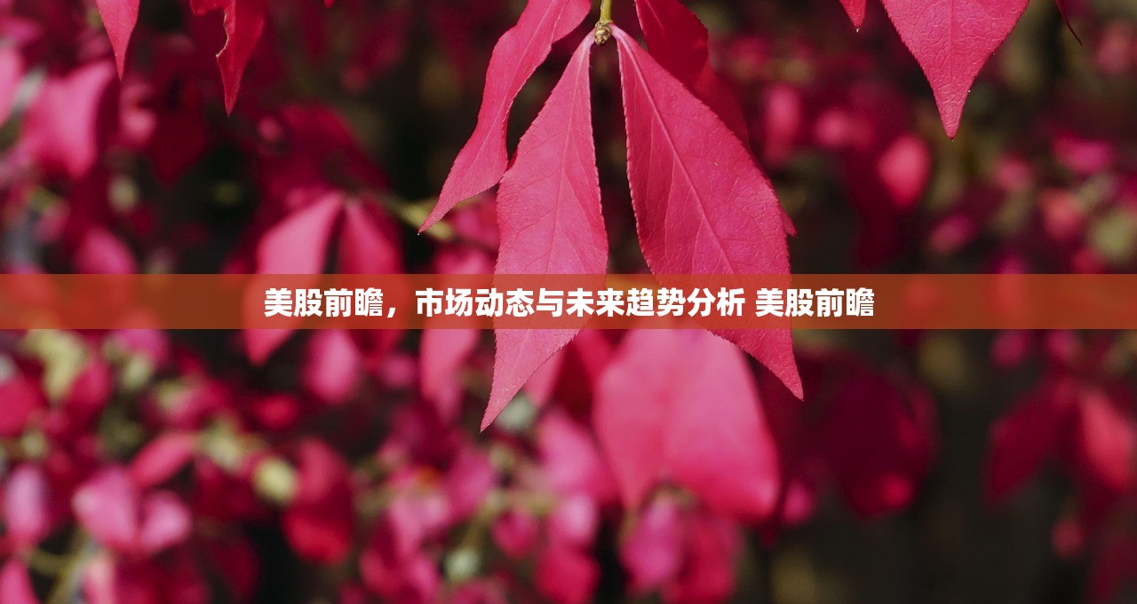 美股前瞻,市场动态与未来趋势分析 美股前瞻 美股前瞻,市场动态与未来趋势分析 美股前瞻
