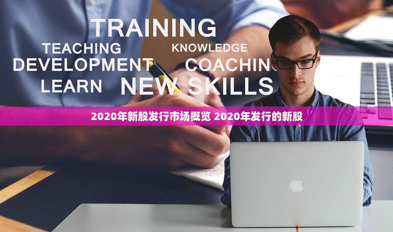 2020年新股发行市场概览 2020年发行的新股