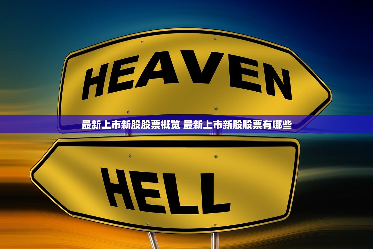 最新上市新股股票概览 最新上市新股股票有哪些