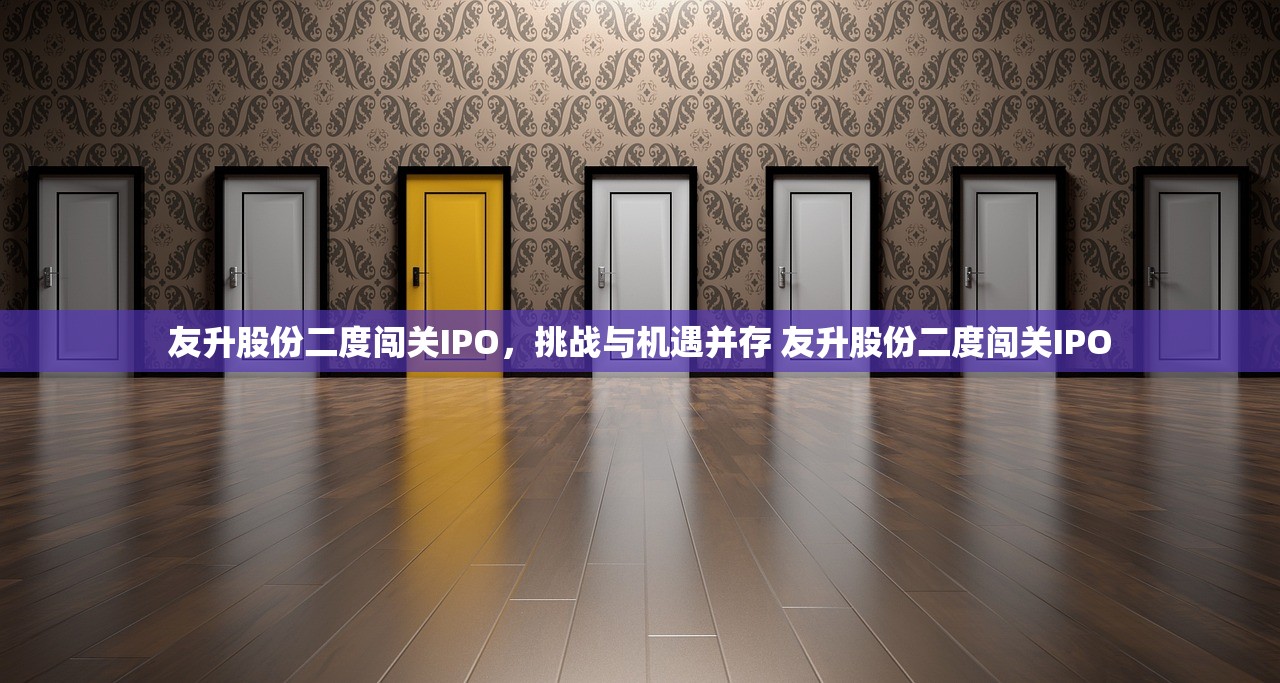 友升股份二度闯关IPO，挑战与机遇并存 友升股份二度闯关IPO