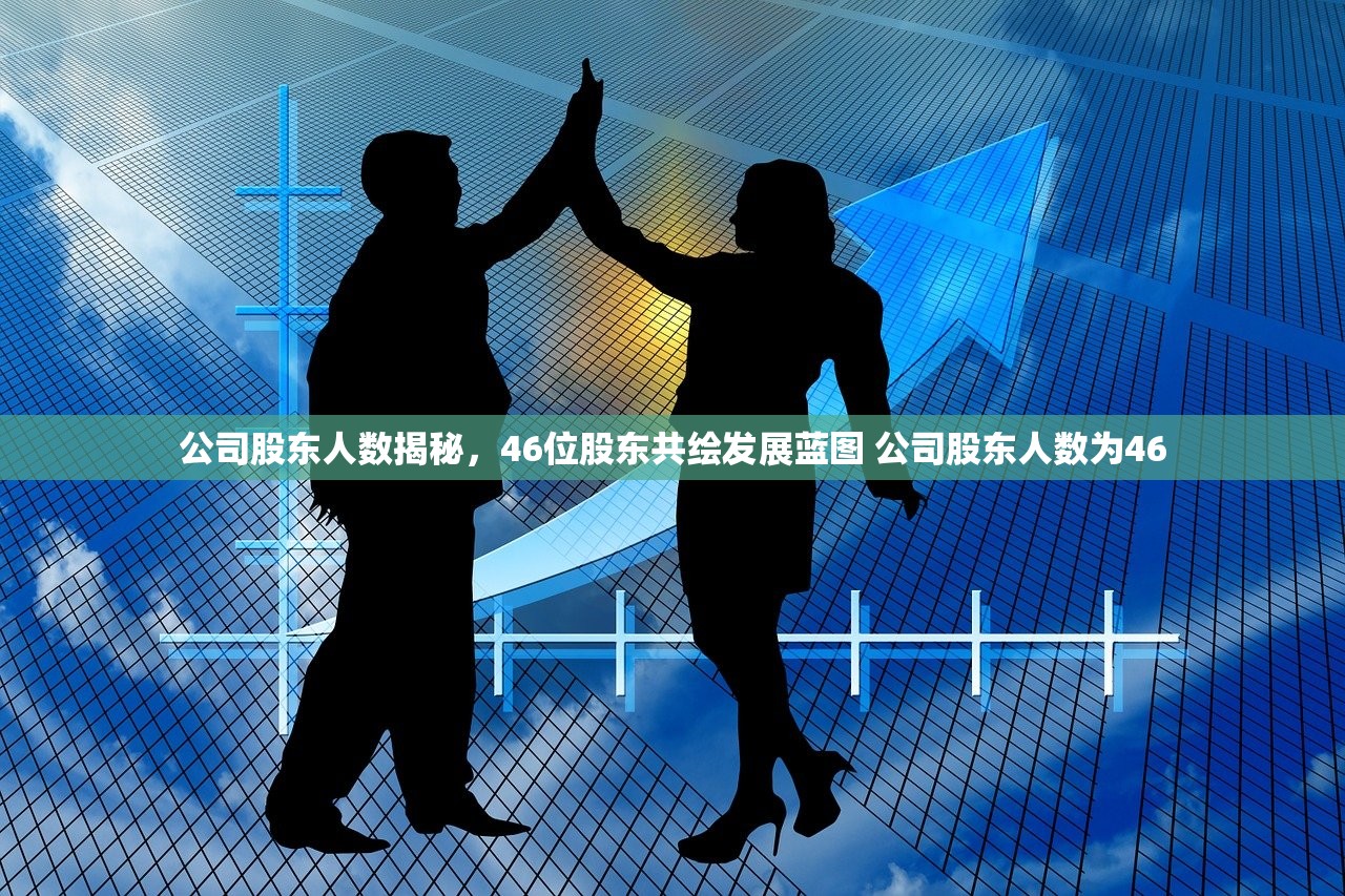 公司股东人数揭秘，46位股东共绘发展蓝图 公司股东人数为46