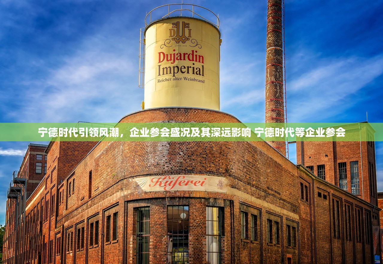 宁德时代引领风潮，企业参会盛况及其深远影响 宁德时代等企业参会