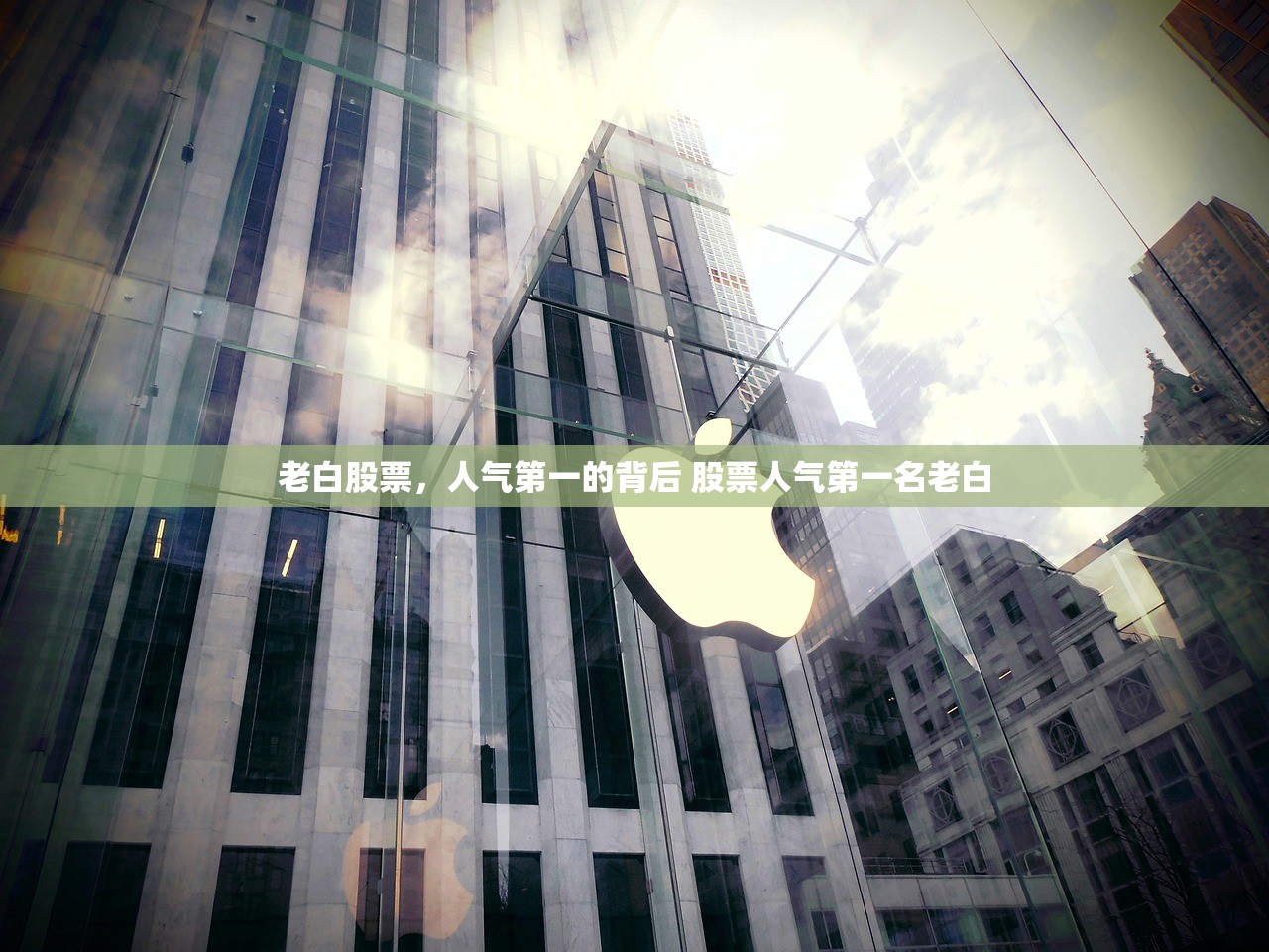 老白股票，人气第一的背后 股票人气第一名老白