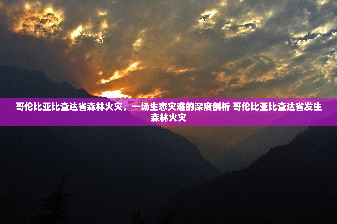 哥伦比亚比查达省森林火灾，一场生态灾难的深度剖析 哥伦比亚比查达省发生森林火灾