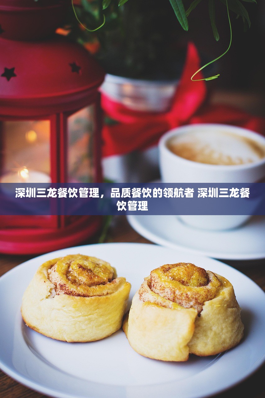 深圳三龙餐饮管理,品质餐饮的领航者 深圳三龙餐饮管理 深圳三龙餐饮管理,品质餐饮的领航者 深圳三龙餐饮管理