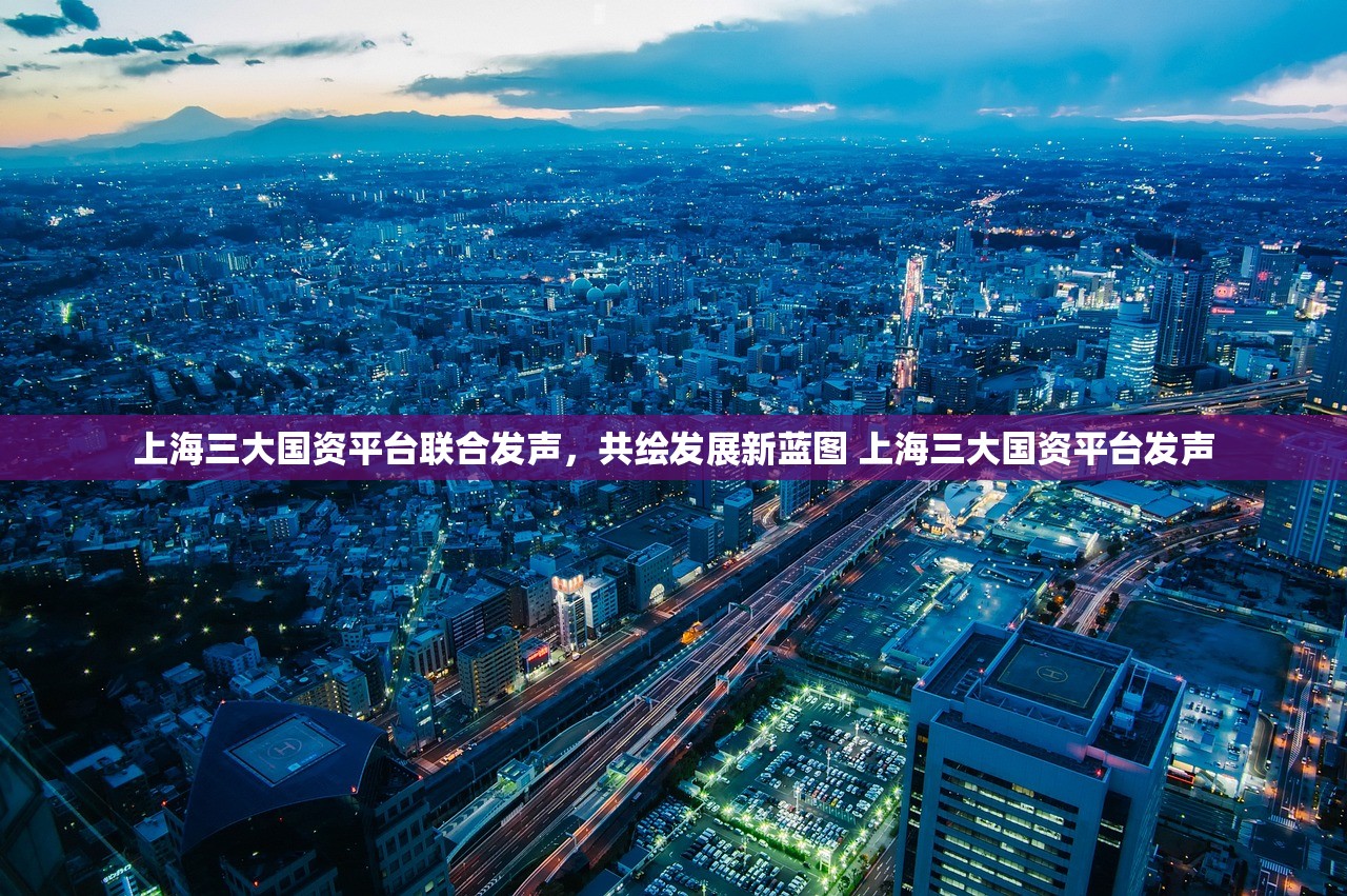 上海三大国资平台联合发声，共绘发展新蓝图 上海三大国资平台发声